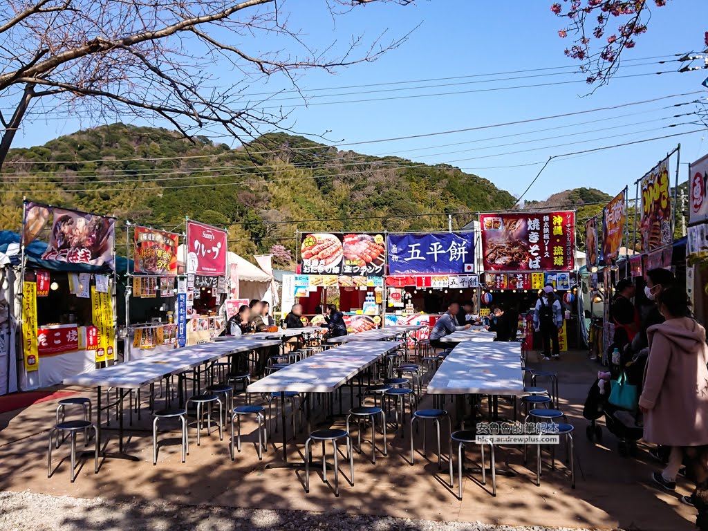 日本賞櫻,日本河津櫻,賞櫻景點