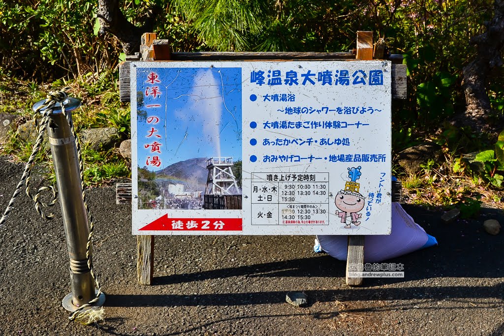 日本賞櫻,日本河津櫻,賞櫻景點