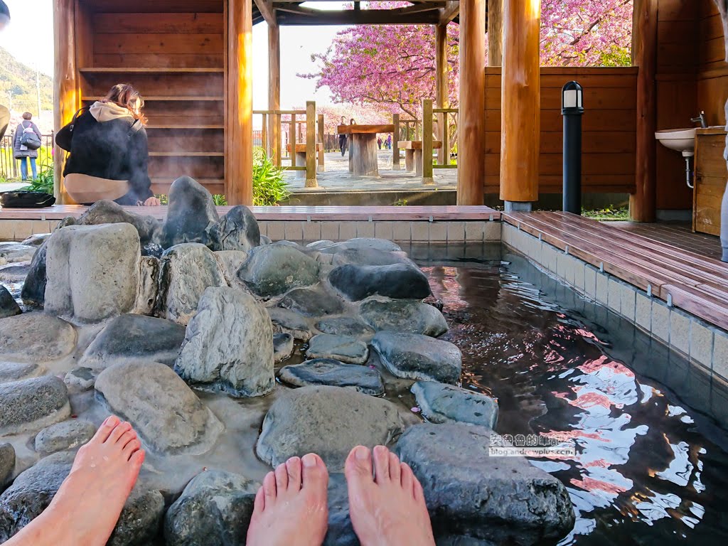 日本賞櫻,日本河津櫻,賞櫻景點