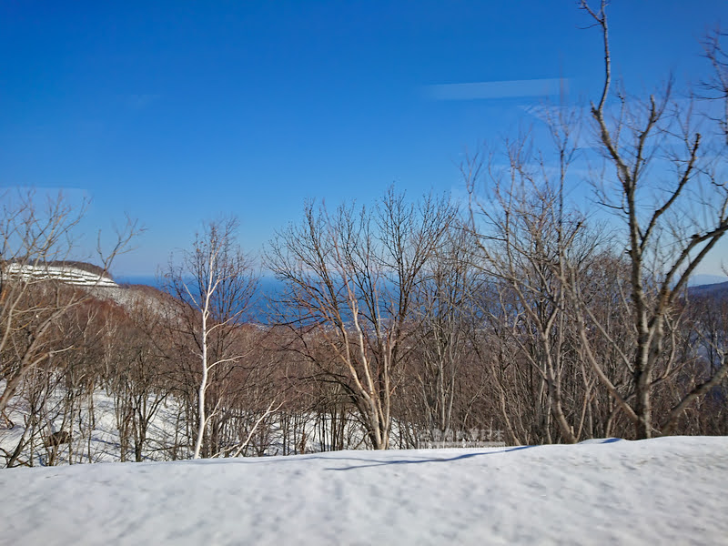 喜樂樂雪世界攻略搭巴士前往