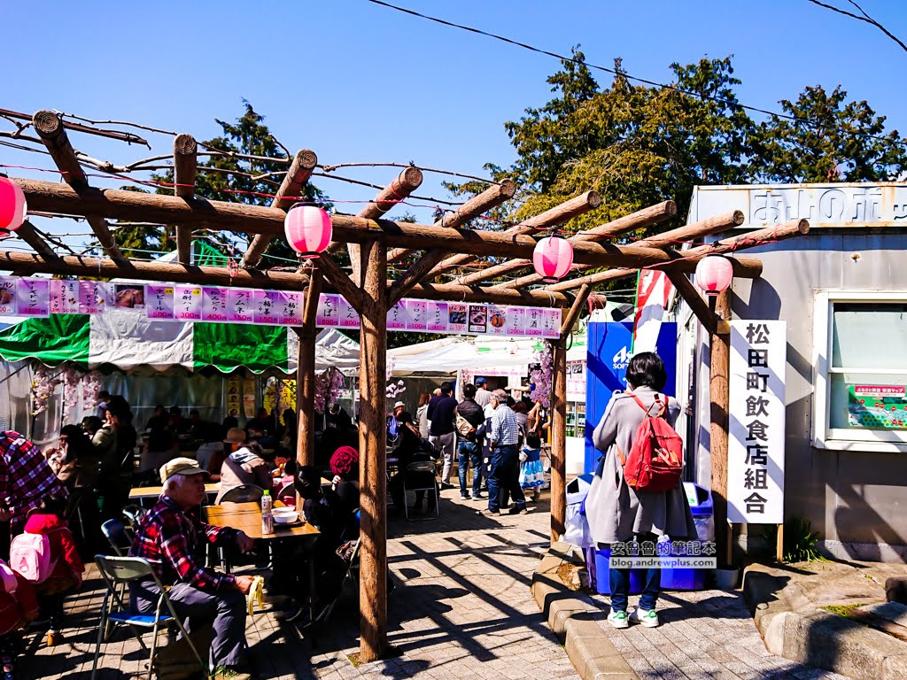日本賞櫻,河津櫻,松田町賞櫻祭,河津櫻富士山,西平畑公園,