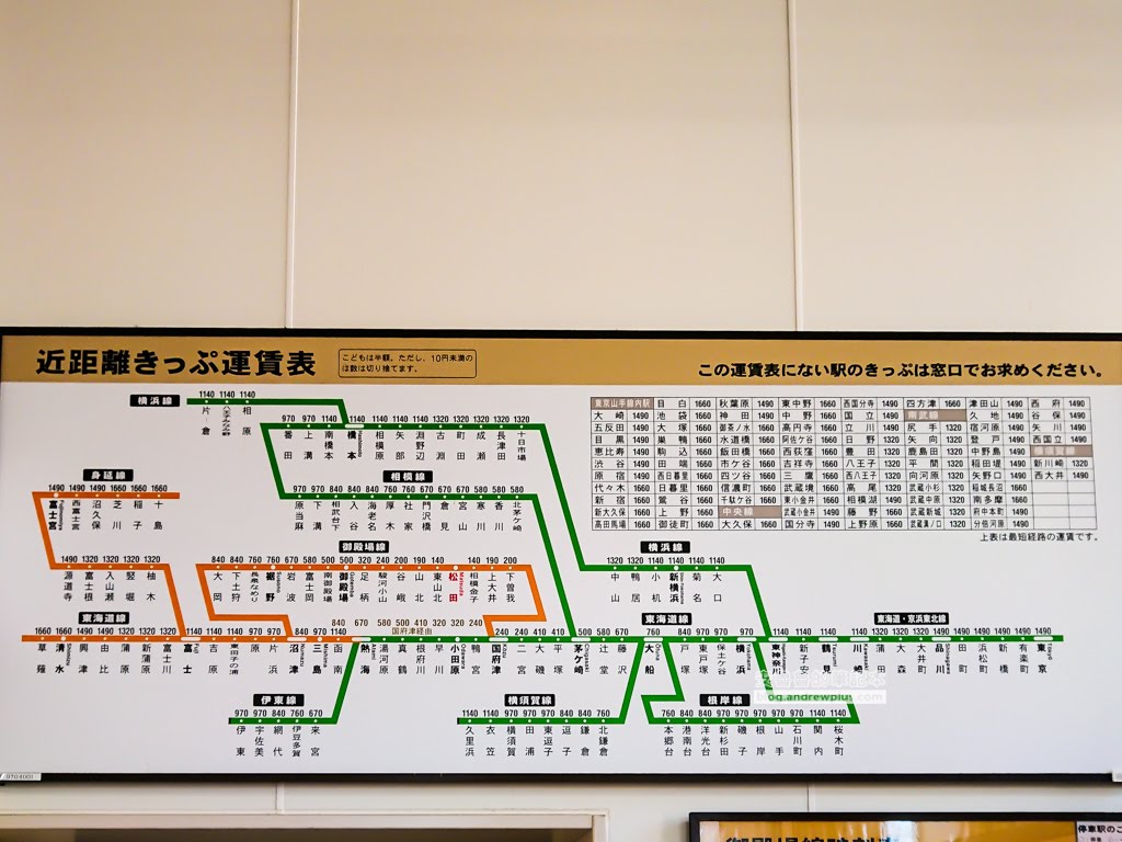 日本賞櫻,河津櫻,松田町賞櫻祭,河津櫻富士山,西平畑公園,