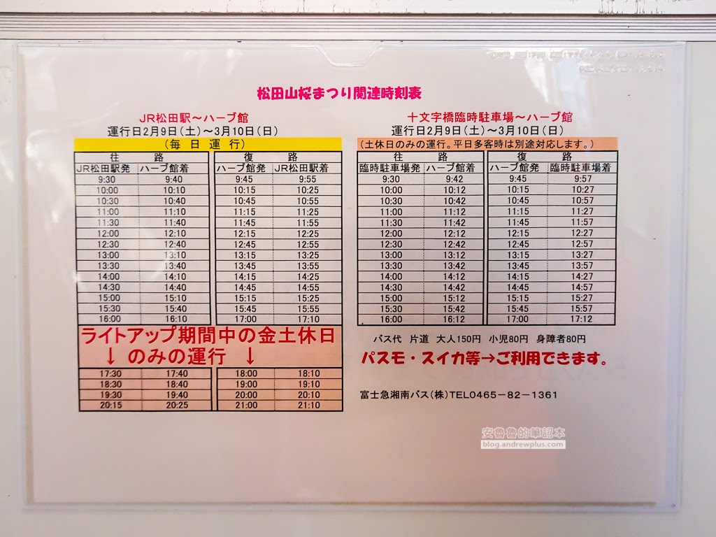 日本賞櫻,河津櫻,松田町賞櫻祭,河津櫻富士山,西平畑公園,