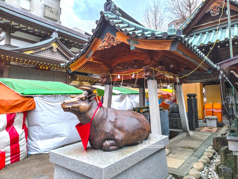 湯島天滿宮,湯島神社,東京賞梅