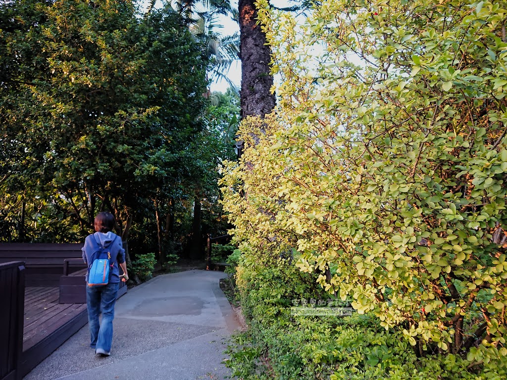 北投春天酒店溫泉,春天酒店湯屋,北投溫泉,北投泡湯