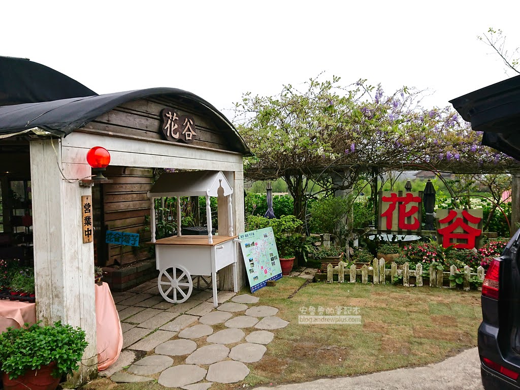 竹子湖海芋季, 花谷海芋園