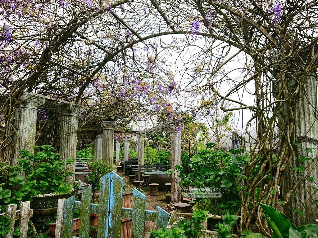 竹子湖海芋季, 花谷海芋園的紫藤花架