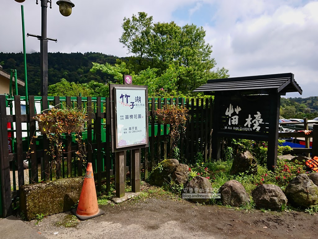 竹子湖海芋季, 苗榜花圃入口處