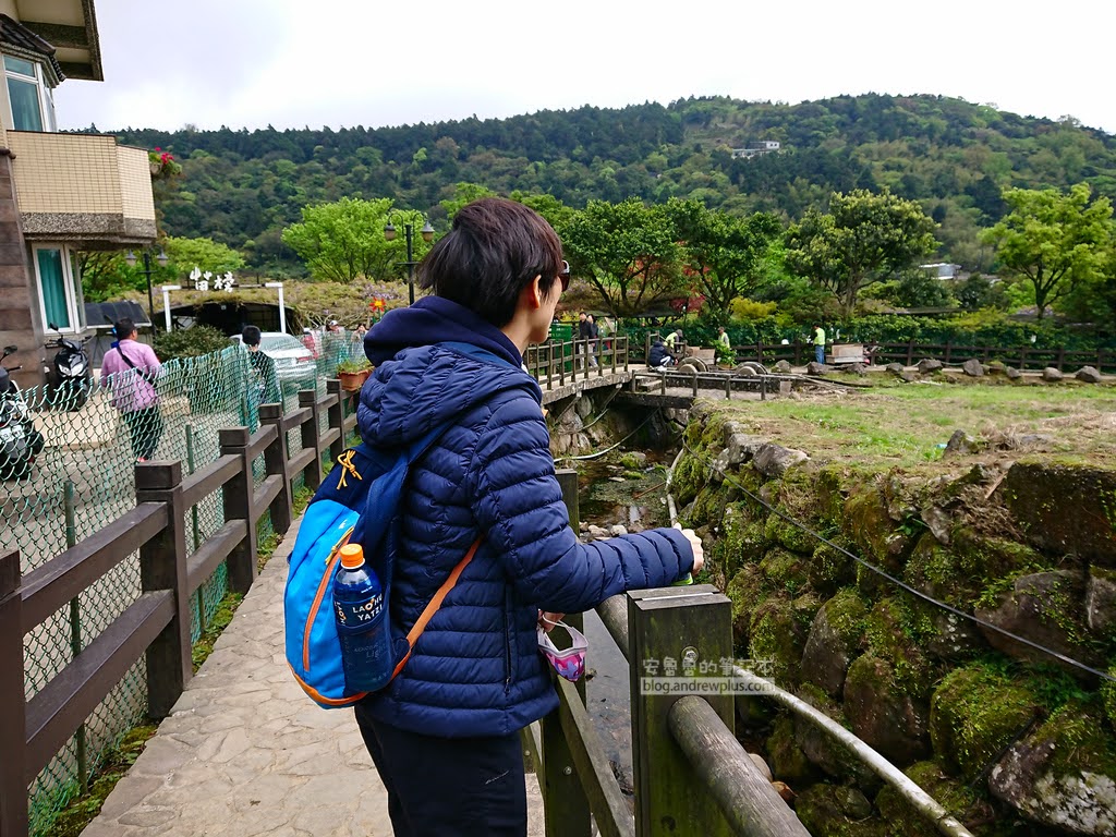 竹子湖海芋季, 苗榜花圃前面的步道