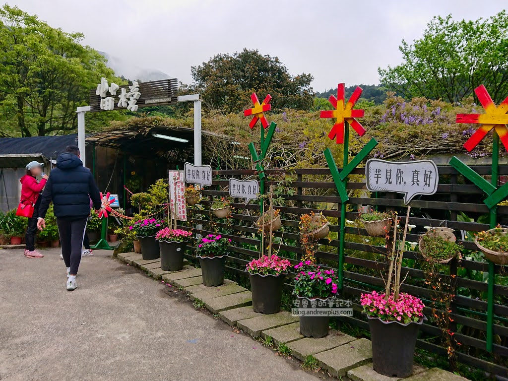 竹子湖海芋季, 苗榜花圃