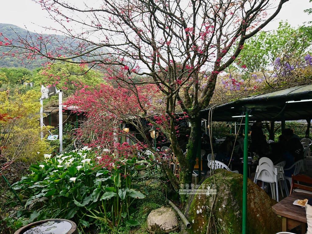 竹子湖海芋季, 苗榜花圃用餐區