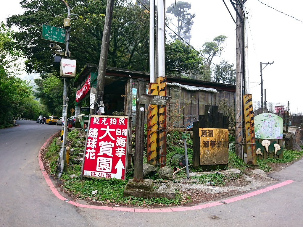 竹子湖海芋季, 苗榜花圃往大賞園的叉路指標