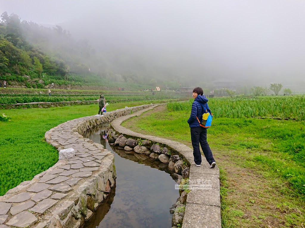 竹子湖海芋季, 頂湖賞花環狀步道