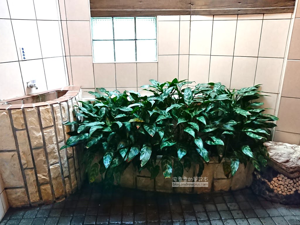 北投溫泉推薦,北投平價泡湯,北投溫泉怎麼去