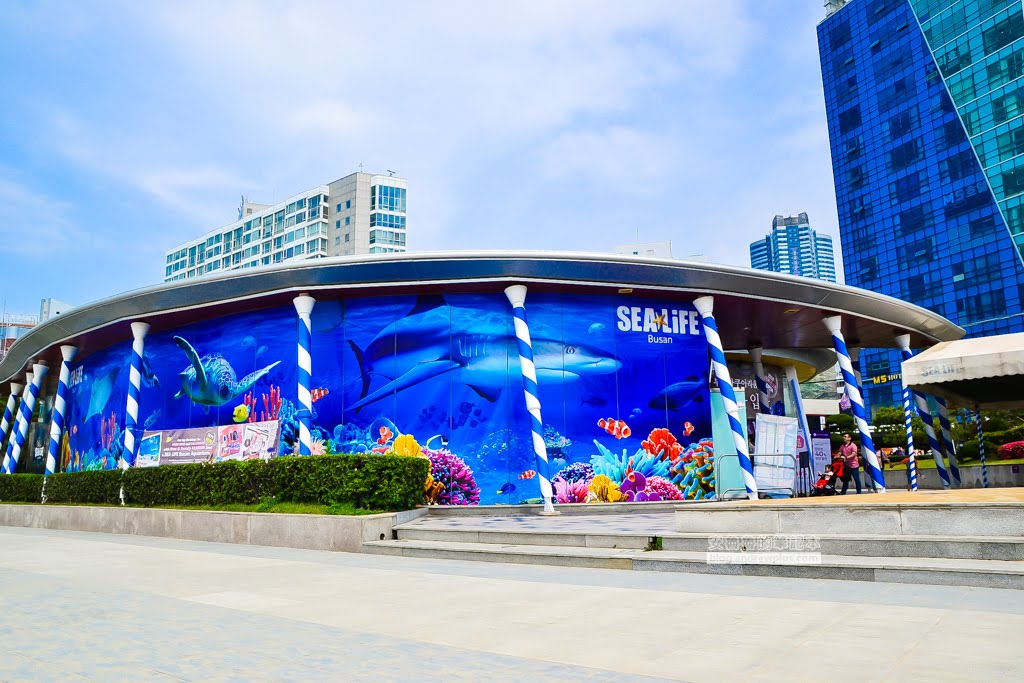 韓國釜山景點,海雲台海灘,釜山必玩景點,海雲台沙雕節,海雲台海水浴場