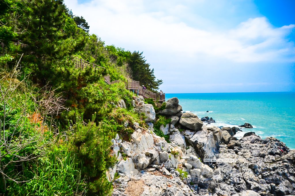 尾浦鐵路,釜山必玩景點,青沙浦紅白燈塔,松亭海水浴場