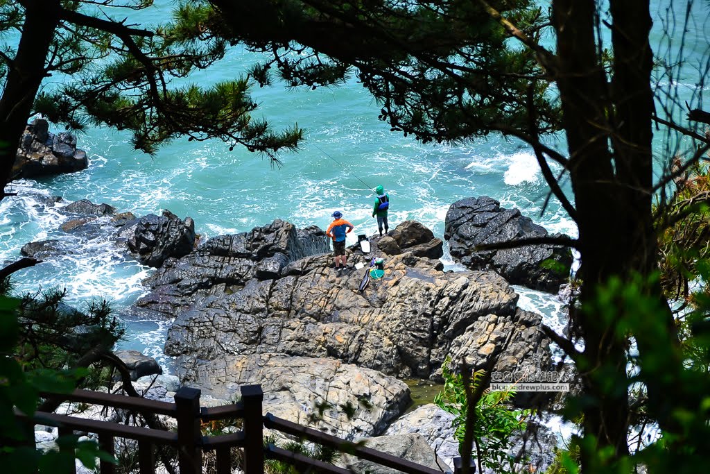 海雲台景點 尾浦鐵道,釜山必玩景點,青沙浦紅白燈塔,松亭海水浴場