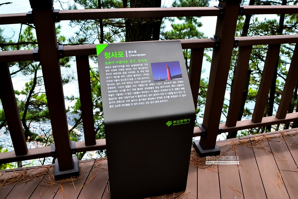 尾浦鐵路,釜山必玩景點,青沙浦紅白燈塔,松亭海水浴場