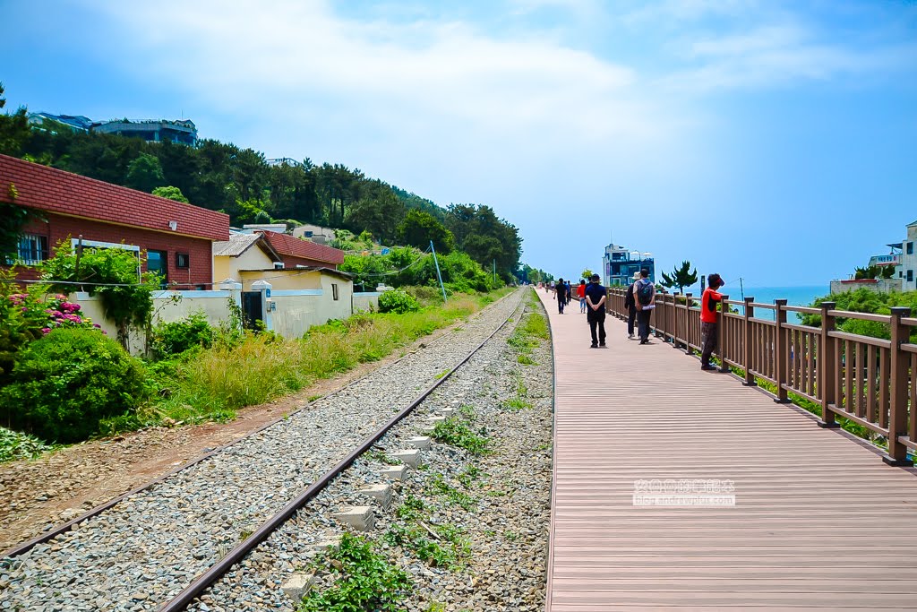 釜山景點,尾浦鐵道,天空膠囊列車