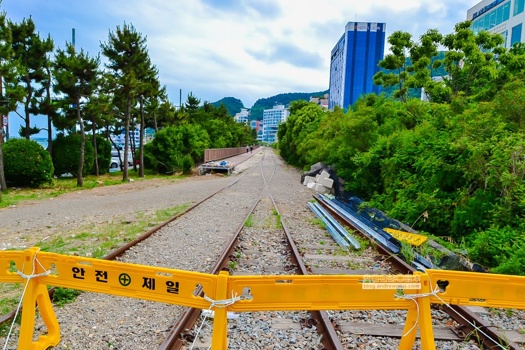尾浦鐵路,釜山必玩景點,青沙浦紅白燈塔,松亭海水浴場
