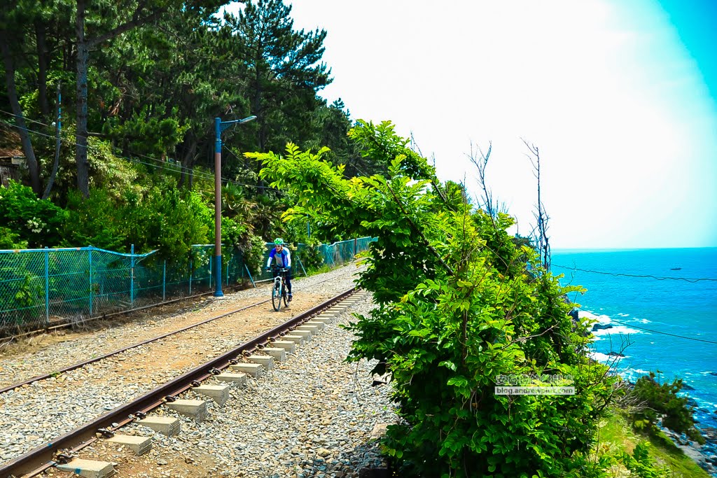 尾浦鐵路,釜山必玩景點,青沙浦紅白燈塔,松亭海水浴場