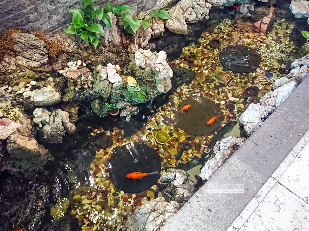 飯桌밥상,釜山西面站美食,釜山傳統料理