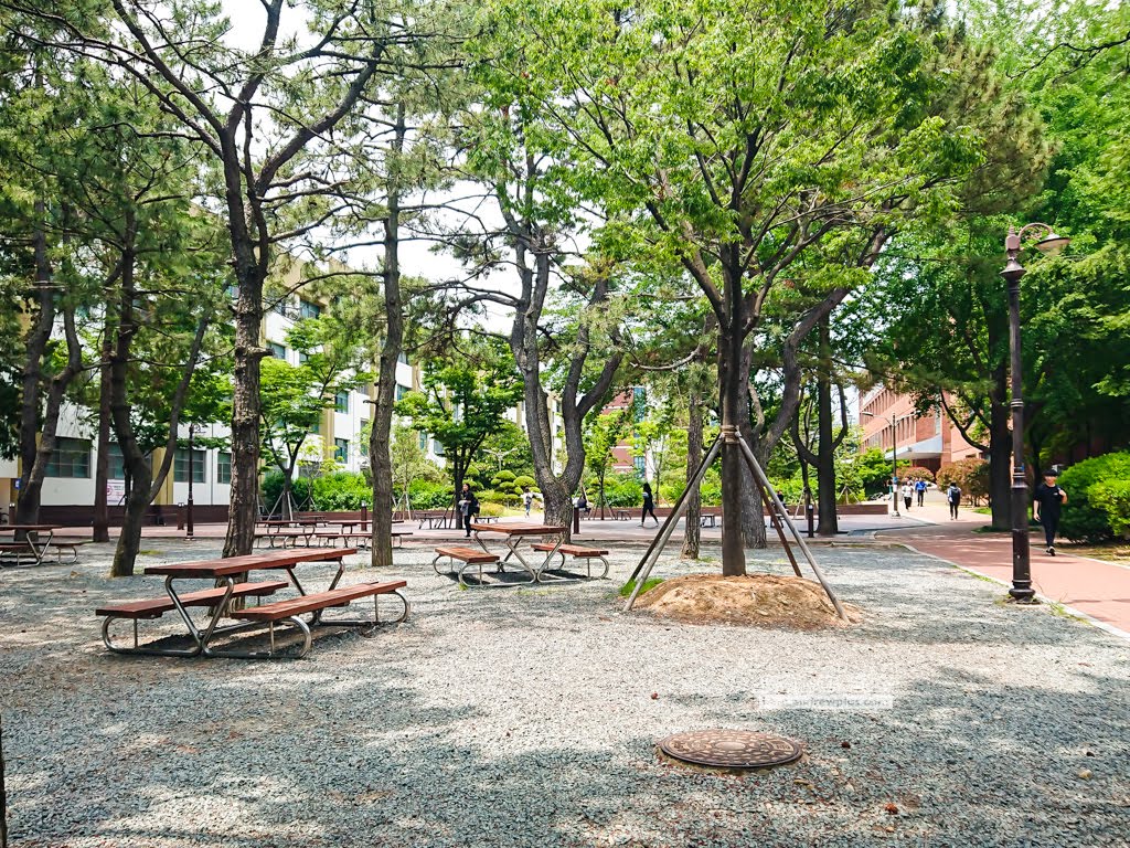 釜慶大學,大淵站,大淵站逛街,去二妓台