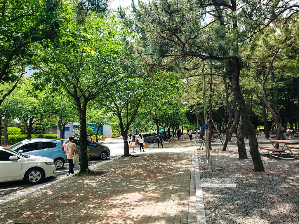 釜慶大學,大淵站,大淵站逛街,去二妓台