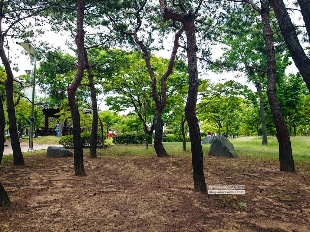 釜慶大學,大淵站,大淵站逛街,去二妓台