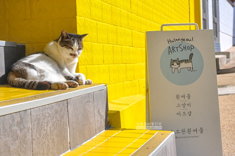 白淺灘文化村,貓貓藝術店貓老闆在門口迎接