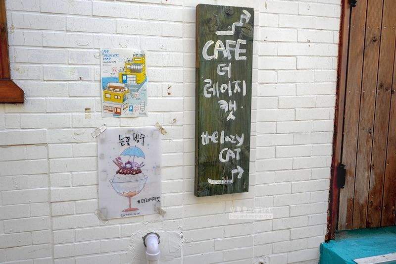 白淺灘文化村,慵懶貓咖啡店