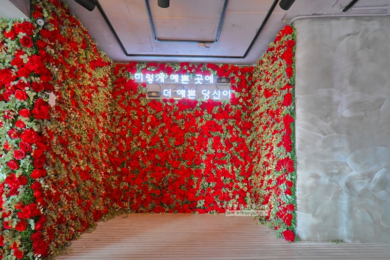 釜山咖啡廳 coffee it house, 紅玫瑰牆