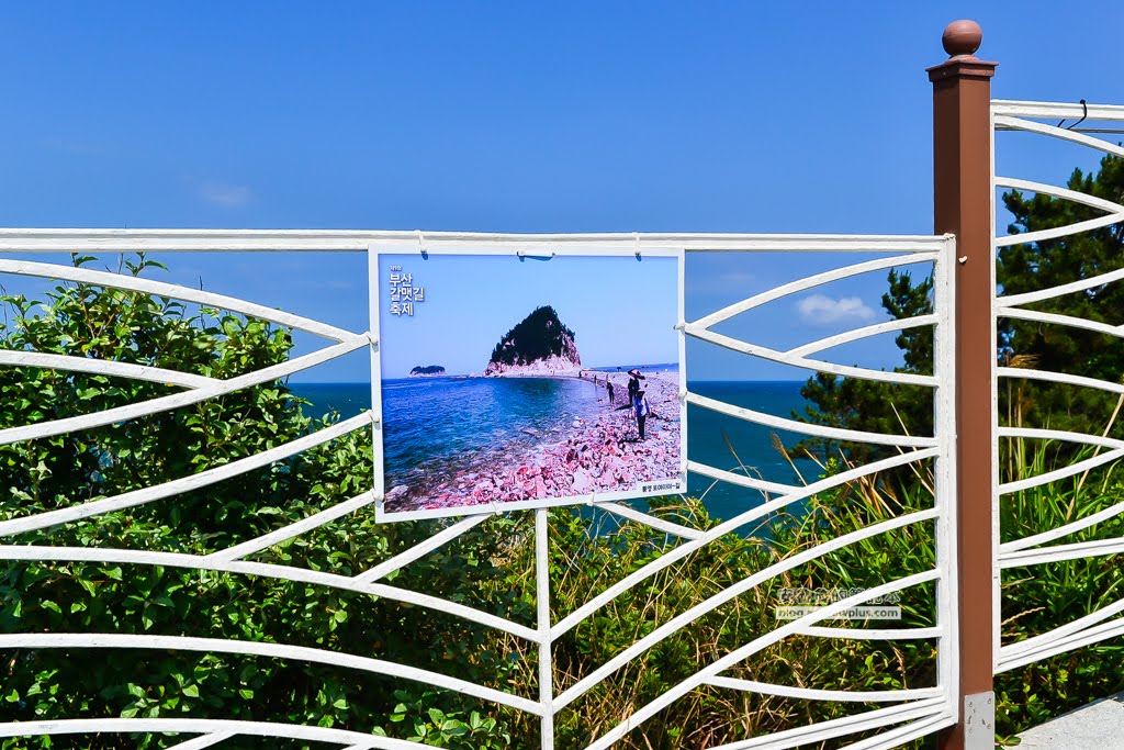 五六島天空步道,釜山必去景點,釜山景點,釜山天空步道