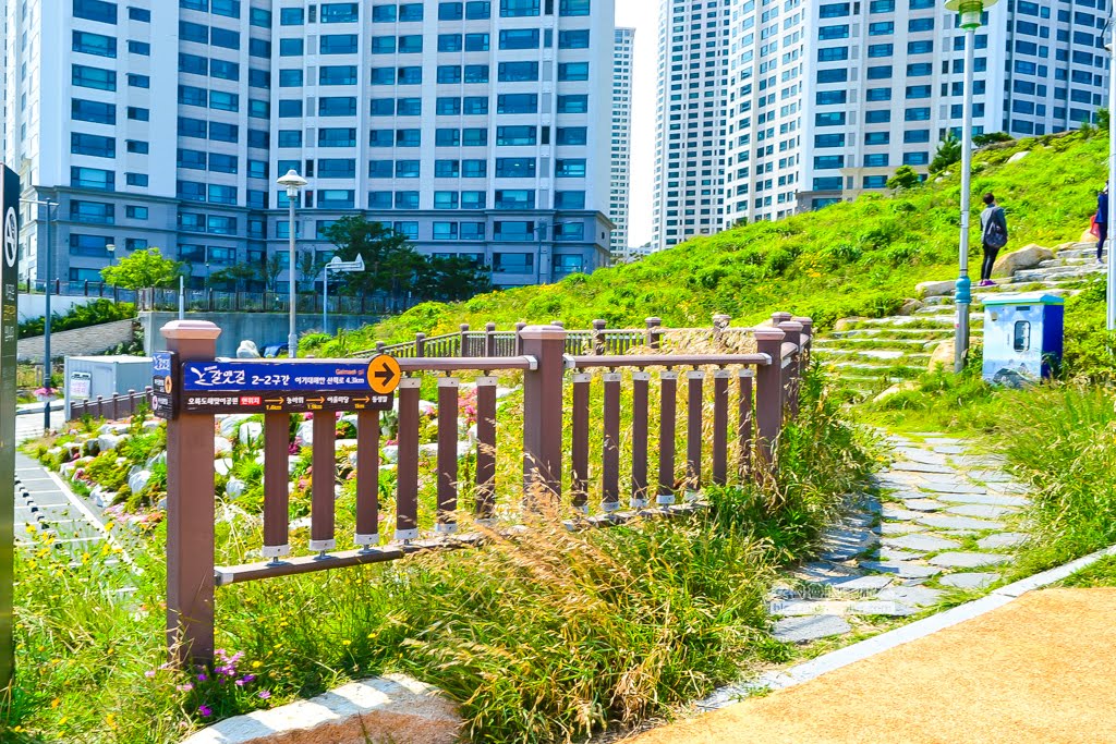 五六島天空步道,釜山必去景點,釜山景點,釜山天空步道