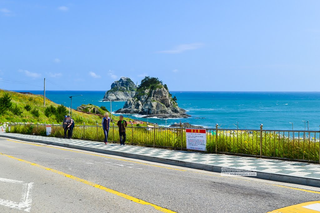 五六島天空步道,釜山必去景點,釜山景點,釜山天空步道