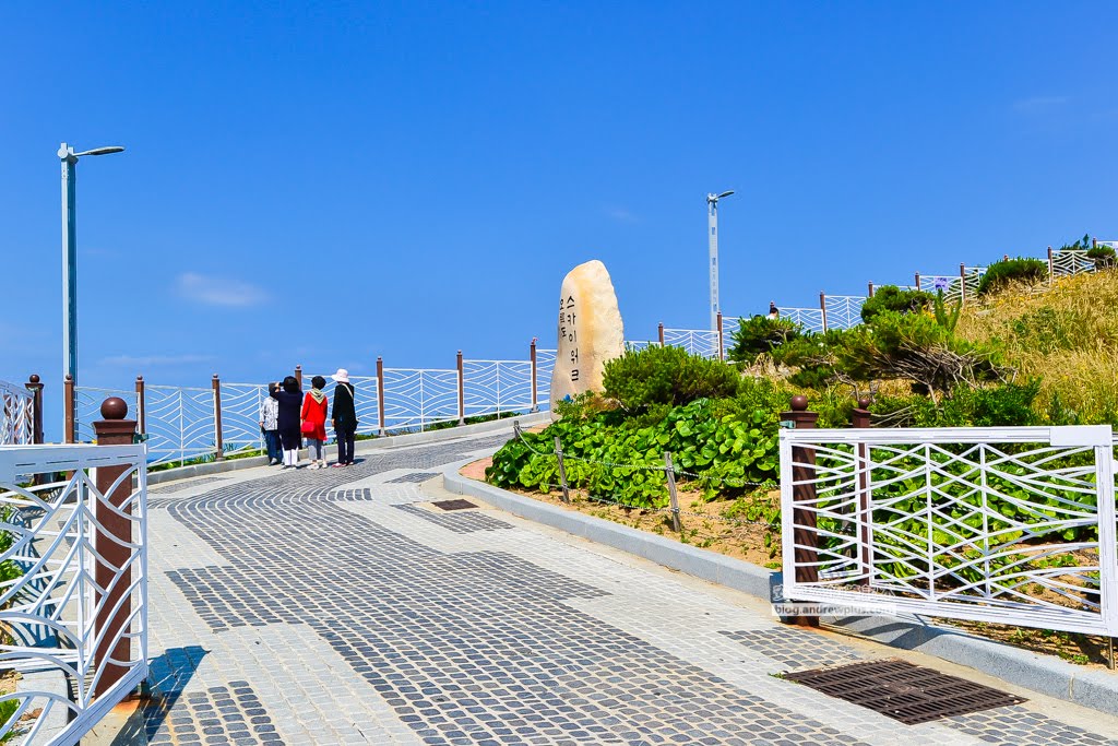 五六島天空步道,釜山必去景點,釜山景點,釜山天空步道