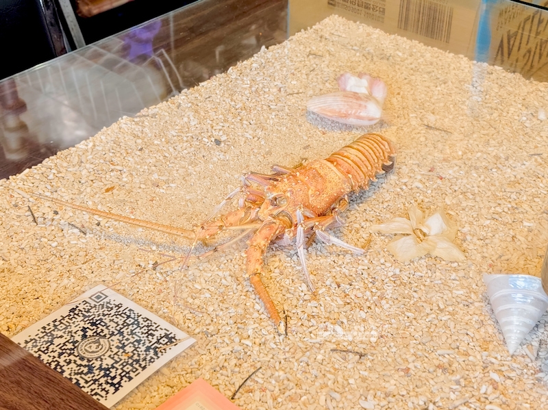 田媽媽海景蜂鍋物,福隆美食,福隆吃海鮮,福隆餐廳推薦