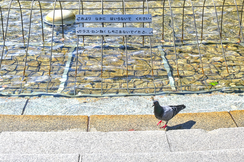 大通公園玉米,大通烤玉米攤,札幌必吃