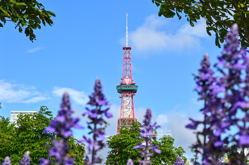 大通公園烤玉米,大通玉米攤,札幌必吃